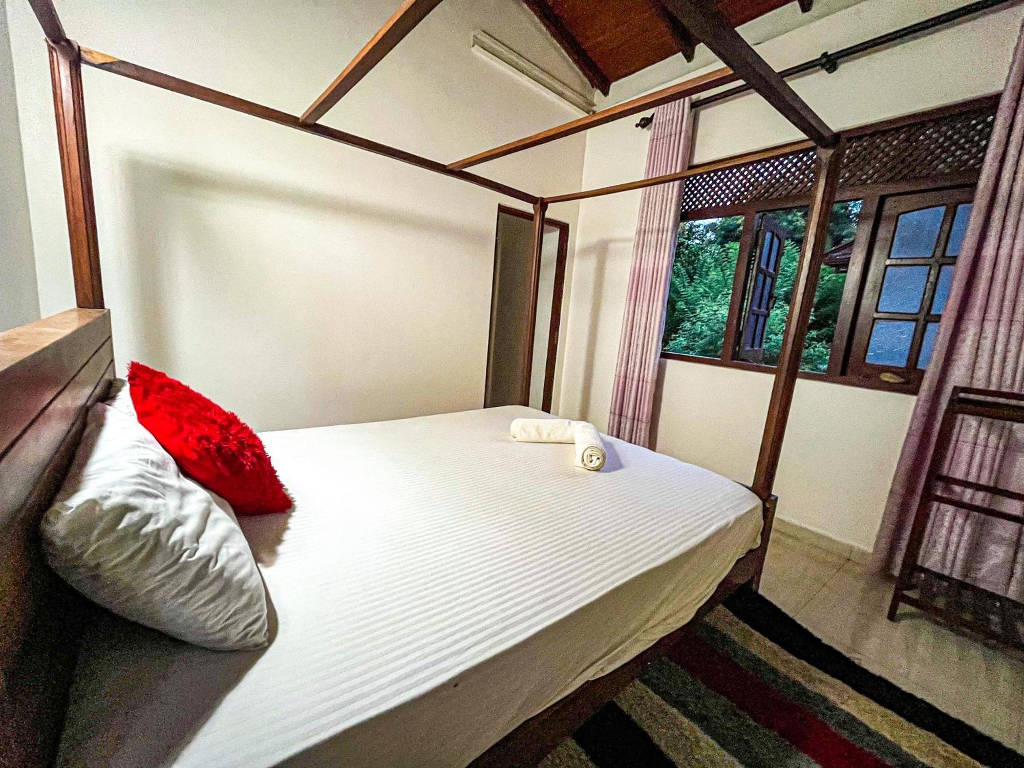 Galle Camellia Pokoj fotografie