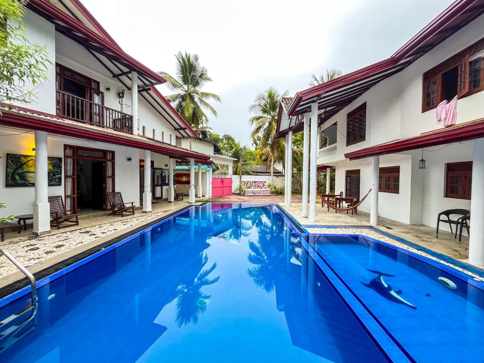 Galle Camellia Exteriér fotografie